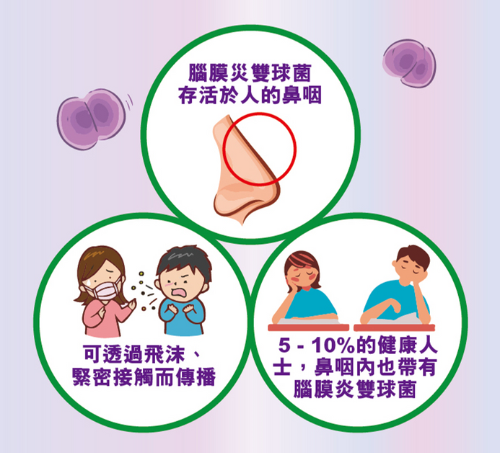 ACWY MenQuadfi 四價腦膜炎雙球菌疫苗